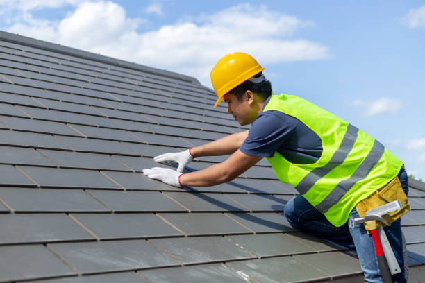 Best Roof Gutter Cleaning  in Amberley, OH