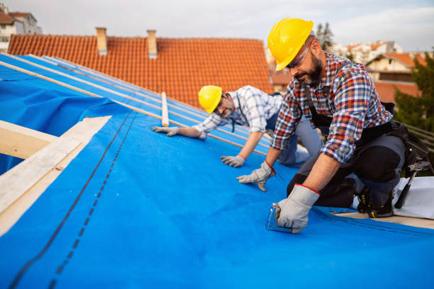 Best Local Roofing Companies  in Amberley, OH